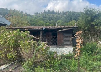 Terreno - Rustico via Circonvallazione Mombrisone, Chiusa di Pesio - foto 27