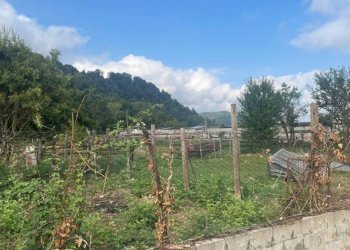 Terreno - Rustico via Circonvallazione Mombrisone, Chiusa di Pesio - foto 29