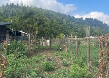 Terreno - Rustico via Circonvallazione Mombrisone, Chiusa di Pesio - foto 33