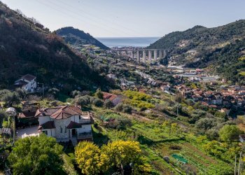 Villa regione nofea vallecrosia, Vallecrosia - foto 31