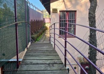 Villa a Schiera Pavarolo - foto 43