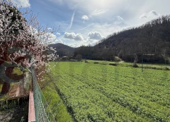 Rustico Via Pietro Nenni, Arpino - foto 19