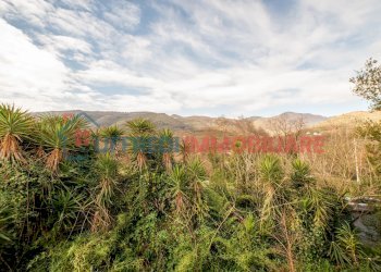 Casa indipendente Via Pietromaggio, Giuliano di Roma - foto 21