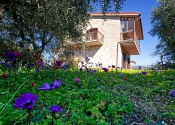 Villa a Schiera viale Madonna del Colle, Stroncone - foto 36