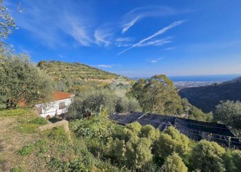 Villa Regione Sorini, Taggia - foto 27