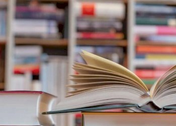 Edicole - Edicole con Chiosco Soliera - foto 2