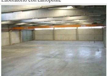 Shed Modena - photo 2