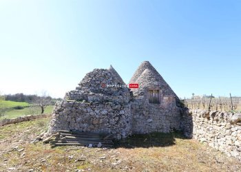 Trullo Contrada Chirulli, Martina Franca - foto 13
