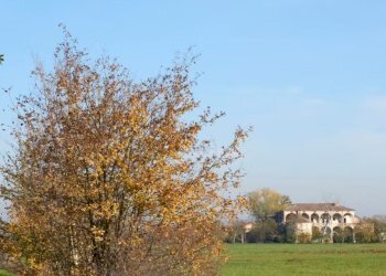 Historic Residence Via Don Minzoni, 62, Gattatico - photo 3