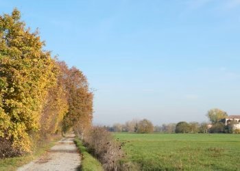 Historic Residence Via Don Minzoni, 62, Gattatico - photo 4