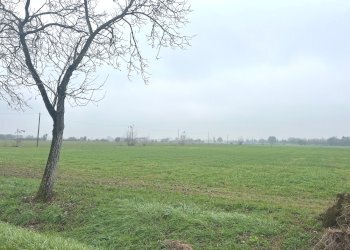 Historic Residence Via Don Minzoni, 62, Gattatico - photo 19