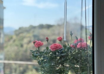 Bilocale via Palmiro Premoli, Savona (zona Legino) - foto 19