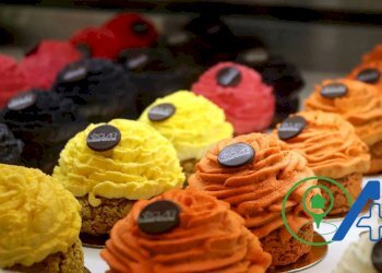 Attività Commerciale Legnago - foto 6