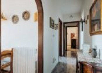 Trilocale Loiano - foto 7