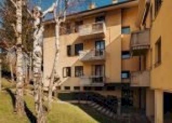 Trilocale Loiano - foto 26