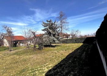 Terreno edificabile Via Pascal D'Illonza., Cuneo - foto 5