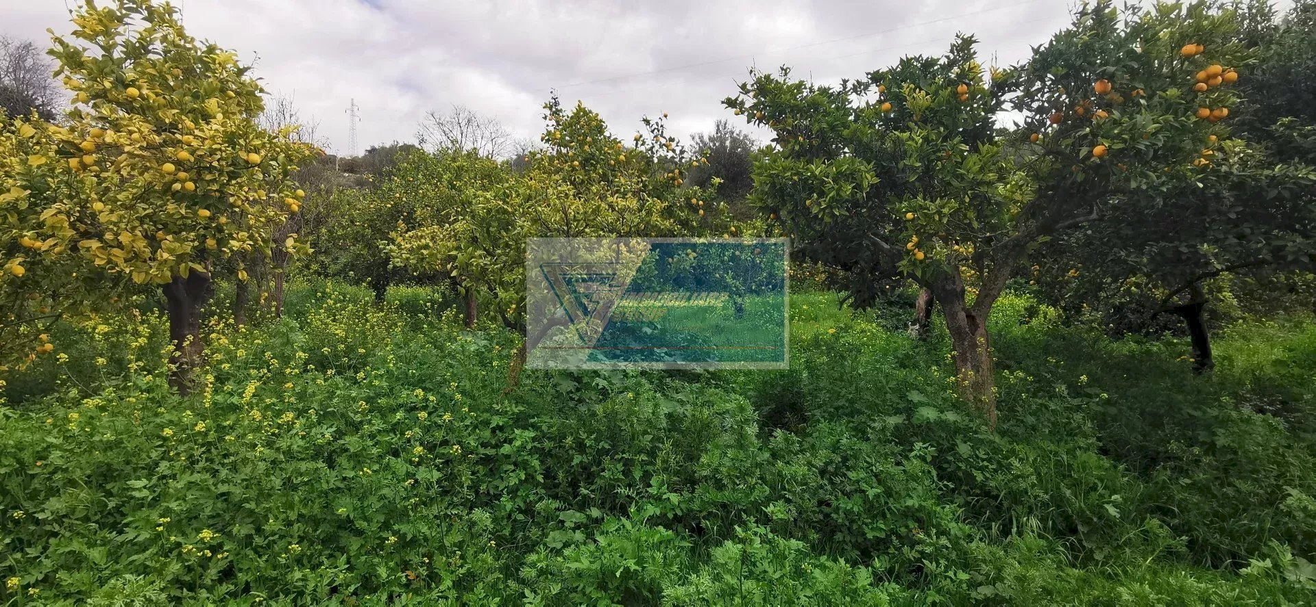 Building land Contrada Fiumara, Noto - photo 3