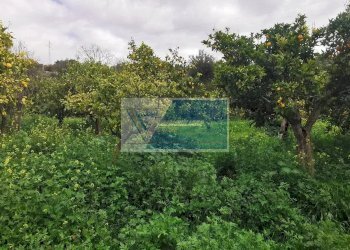 Terreno edificabile Contrada Fiumara, Noto - foto 3