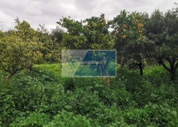 Terreno edificabile Contrada Fiumara, Noto - foto 4