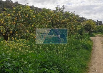 Terreno edificabile Contrada Fiumara, Noto - foto 6