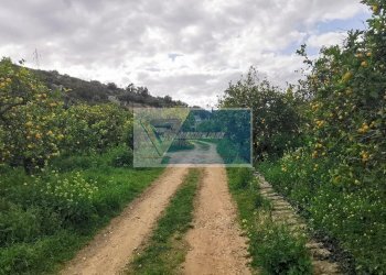 Terreno edificabile Contrada Fiumara, Noto - foto 8