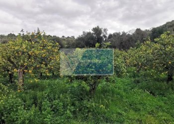 Terreno edificabile Contrada Fiumara, Noto - foto 10