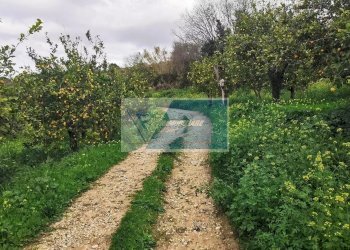 Terreno edificabile Contrada Fiumara, Noto - foto 11