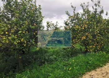 Terreno edificabile Contrada Fiumara, Noto - foto 12