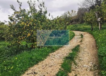 Terreno edificabile Contrada Fiumara, Noto - foto 13