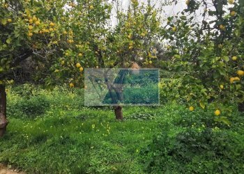 Terreno edificabile Contrada Fiumara, Noto - foto 14