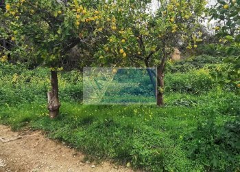 Terreno edificabile Contrada Fiumara, Noto - foto 15