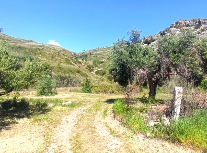 Agricultural land Mondragone - photo 1