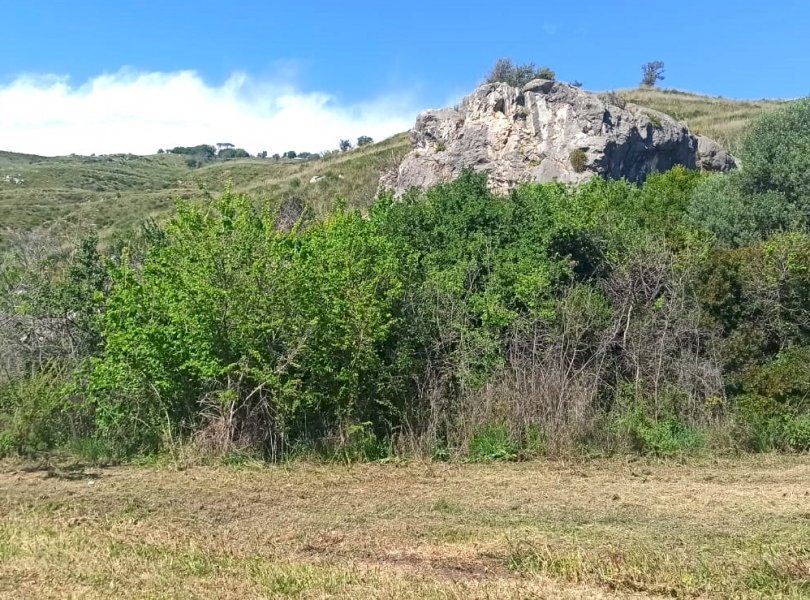 Agricultural land Mondragone - photo 3