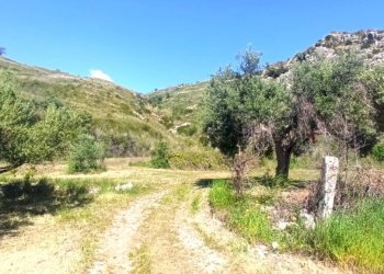 Agricultural land Mondragone - photo 1