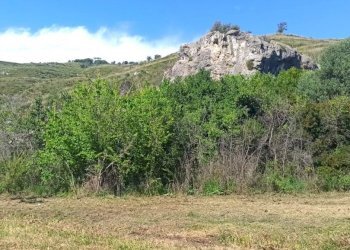 Agricultural land Mondragone - photo 3