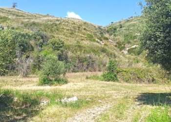 Agricultural land Mondragone - photo 4