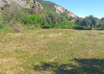 Agricultural land Mondragone - photo 6