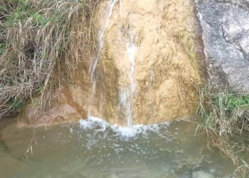 Agricultural land Mondragone - photo 7