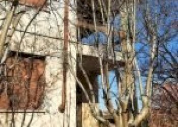 Appartamento Canelli - foto 8