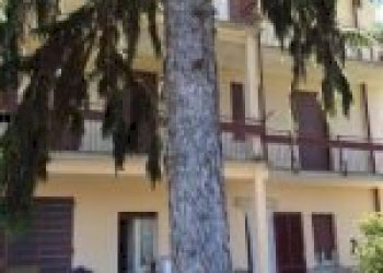 Appartamento Canelli - foto 10