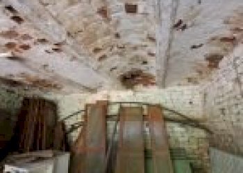 Terreno agricolo Santo Stefano Belbo - foto 10