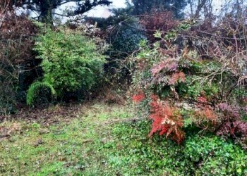 Single Family Villa Podenzano - photo 41