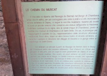 Casale Via Emile Chanoux, Chambave - photo 2