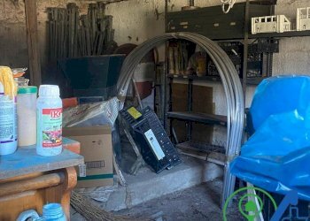 Rustico ridello, Solferino - foto 19