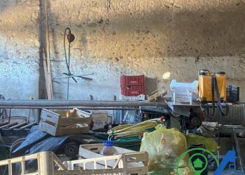 Rustico ridello, Solferino - foto 22