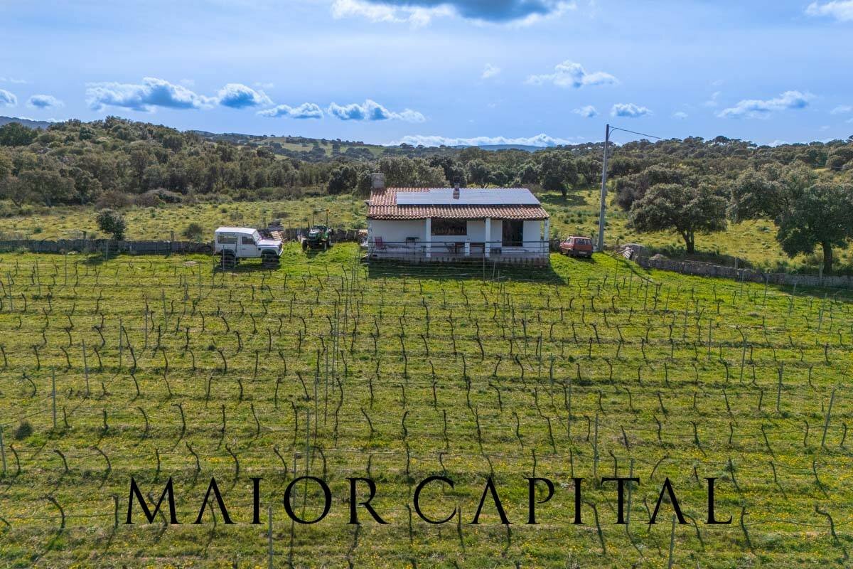 Agricultural land SS 199, Oschiri - photo 1