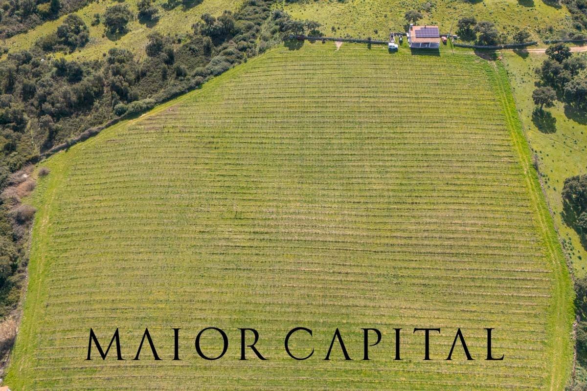 Agricultural land SS 199, Oschiri - photo 2