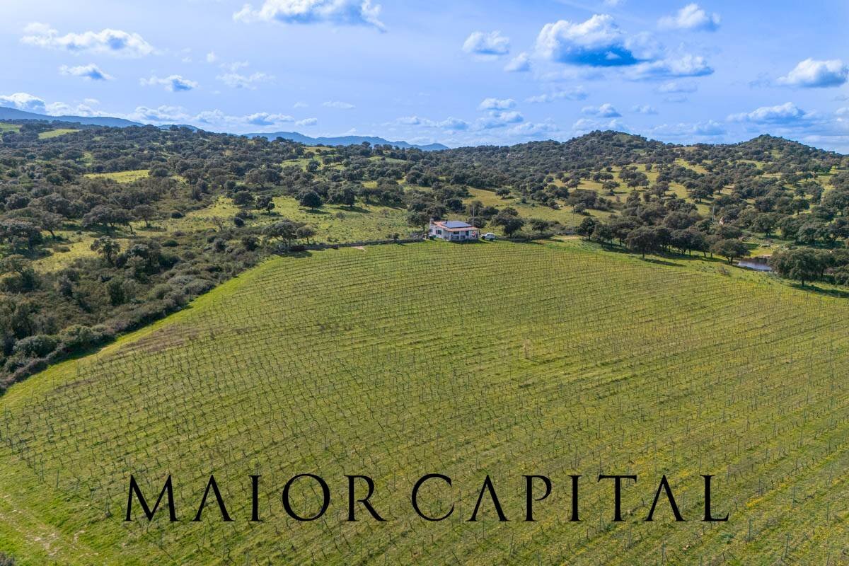 Agricultural land SS 199, Oschiri - photo 3