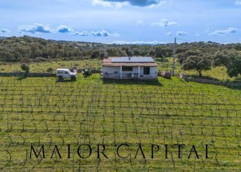 Terreno agricolo SS 199, Oschiri - foto 1