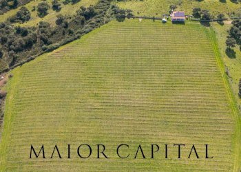 Terreno agricolo SS 199, Oschiri - foto 2